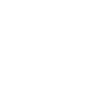 Download Icon