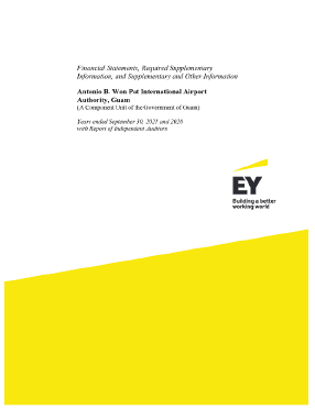 Financial Statements Preview