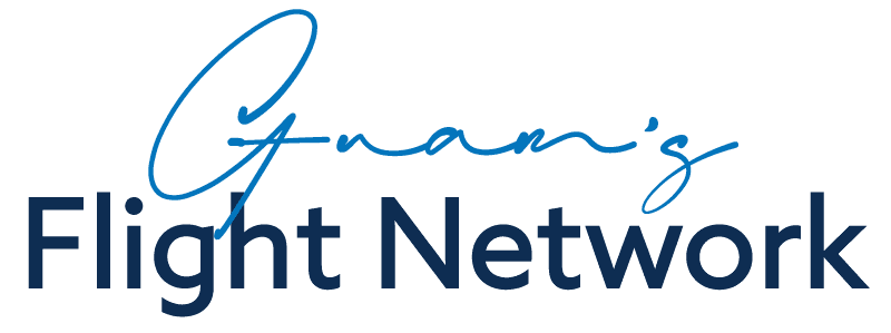 Flight Network Logo