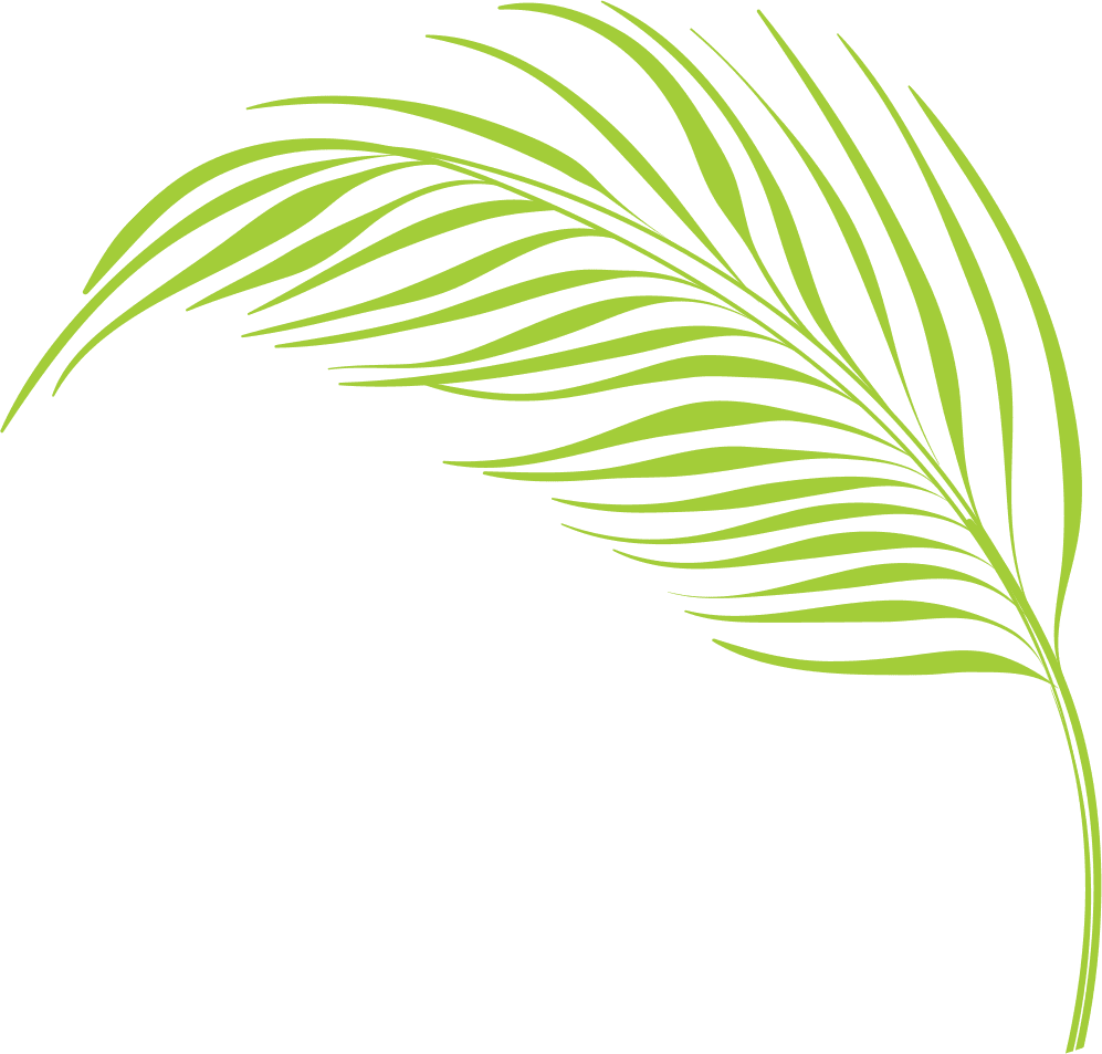 corner leaf