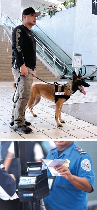 Safe & Secure Operations Featured Image