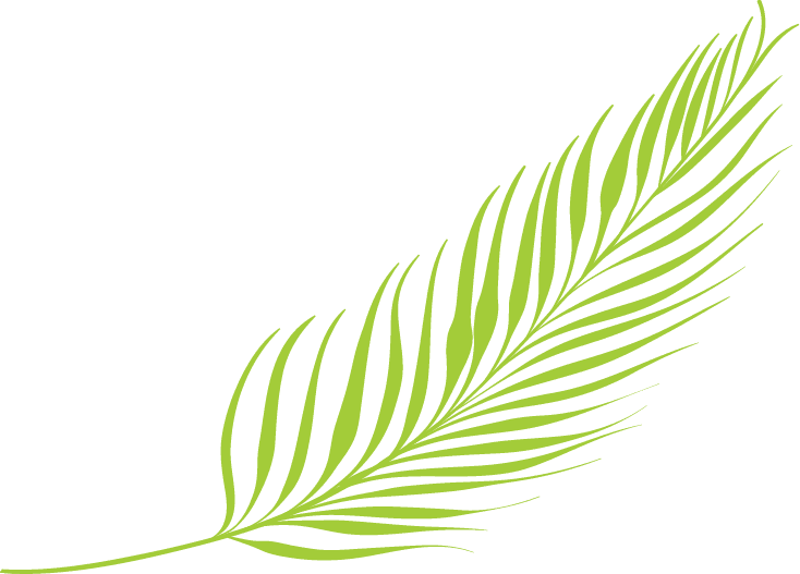 Decorative palm leaf