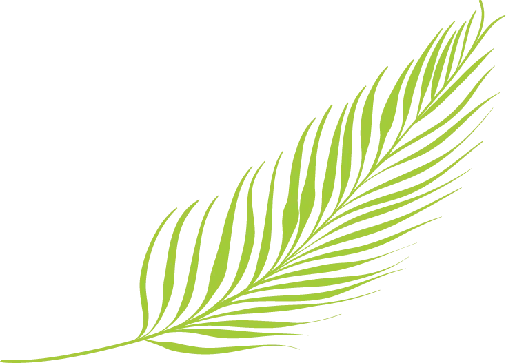 bottom leaf