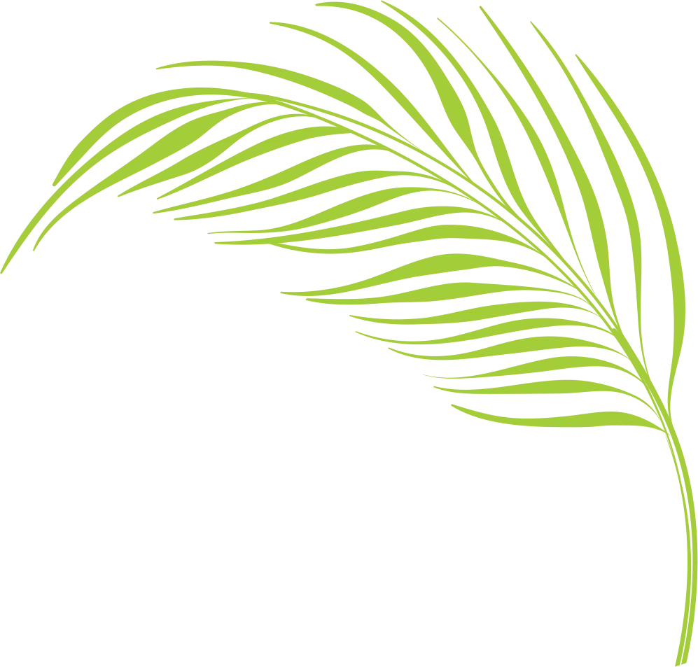 corner leaf